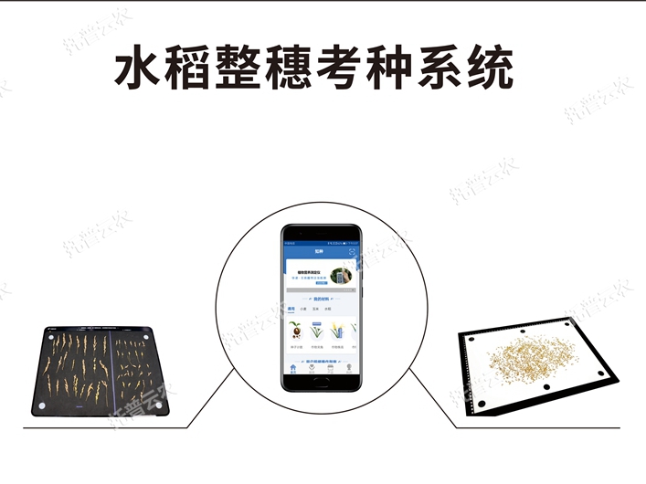 TPDS-X-1 plus水稻整穗考種測量系統